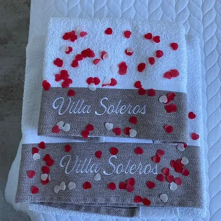 Palm Tree By Villa Soleros Gay Friendly Adult Only Lejlighed Maspalomas (Gran Canaria)